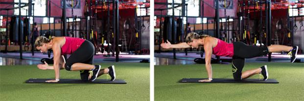 elbow to knee bird dog